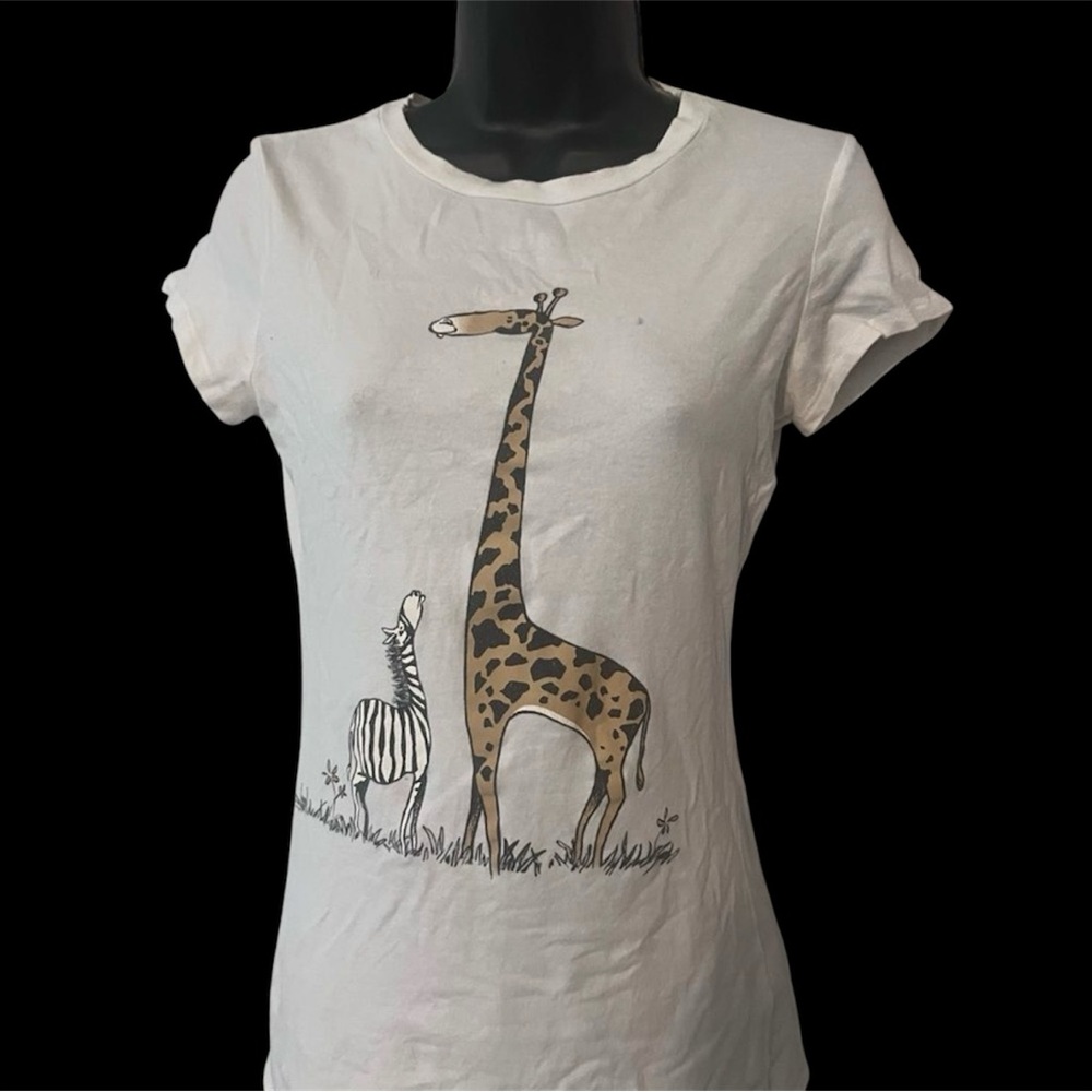 Zebra and Giraffe friendship